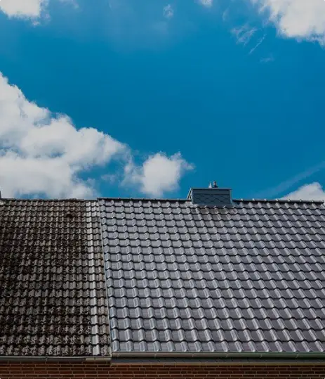 Nettoyage et démoussage